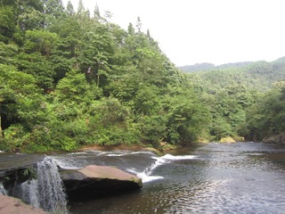 照片dyh 158