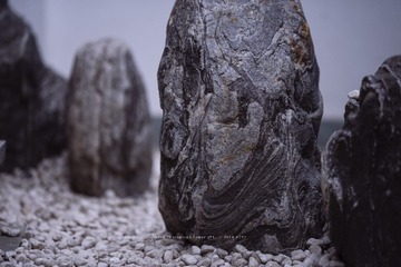 _DSC6853