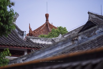 _DSC6915