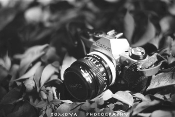 307X4261bw-1.jpg