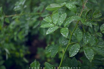 307X5214-1.jpg