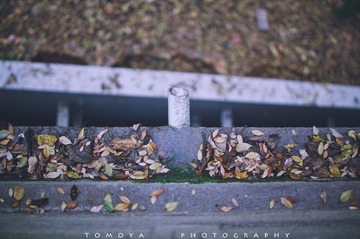 307X6774