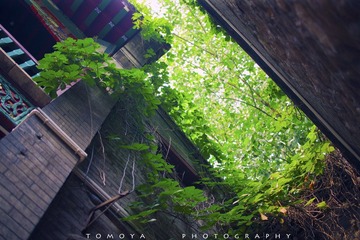 307X5986-1.jpg