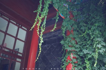 307X6003-1.jpg