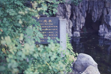 307X6009-1.jpg