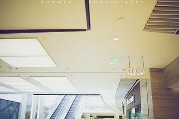 307X5870-1.jpg
