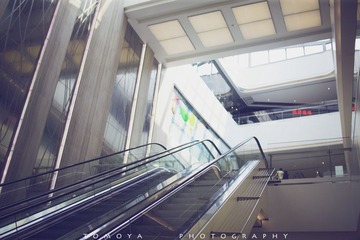 307X5871-1.jpg