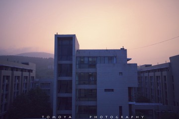 307X6383-1.jpg
