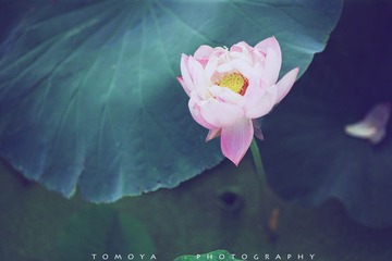307X6418-1.jpg