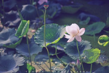 307X6436-1.jpg