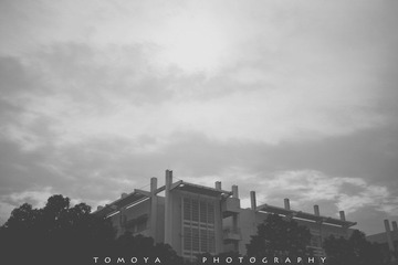 307X7255bw.jpg