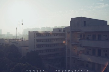 307X7261.jpg