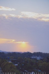“307X8005”为智能对象-1.jpg