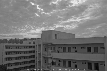 307X8017.jpg