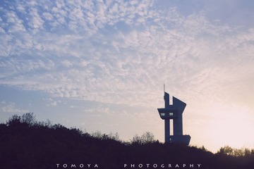 307X8363.jpg