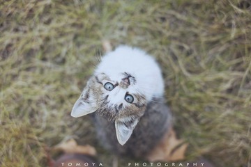 307X8565副本.jpg