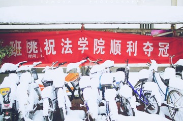 307X9380.jpg