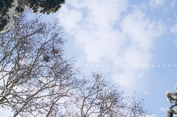 307X9406.jpg