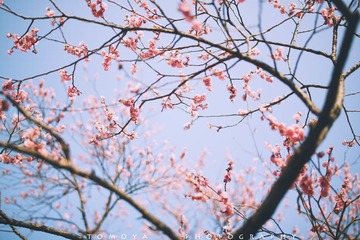 307X9491.jpg