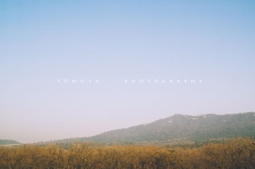 307X9498.jpg