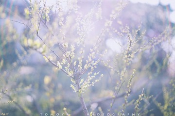 307X9500.jpg