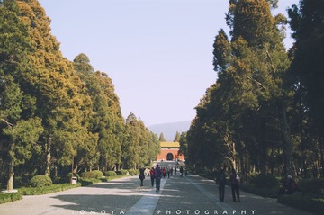 307X9516.jpg