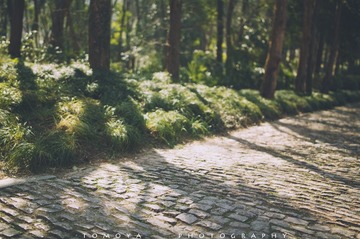 307X9518.jpg