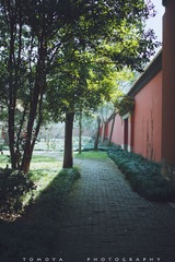 307X9522.jpg