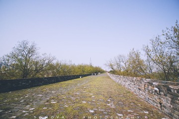307X9604.jpg