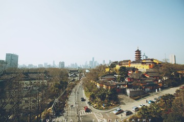 307X9608.jpg