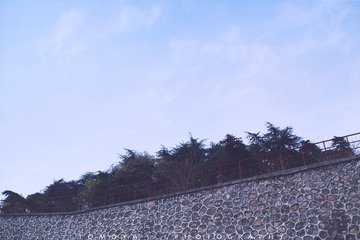 307X9639.jpg