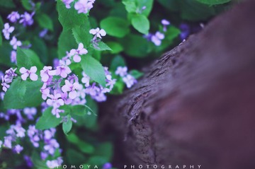 307X9676.jpg