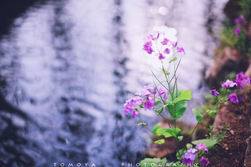 307X9677.jpg