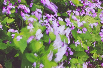 307X9679.jpg