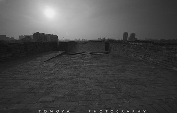 307X9809.jpg