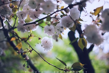 307X9843.jpg