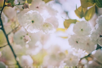 307X9841.jpg