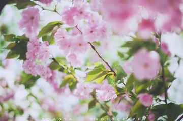 307X9829.jpg