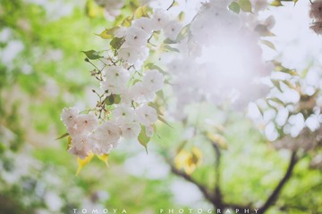 307X9835.jpg
