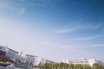 307X9858.jpg