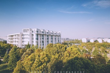 307X9878.jpg