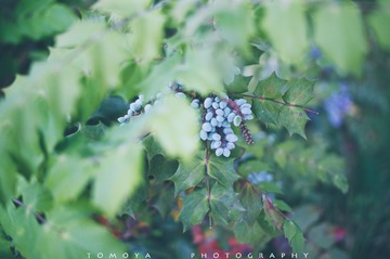 307X9900.jpg