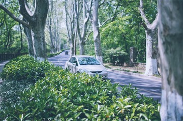 307X9904.jpg