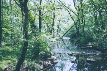 307X9907.jpg