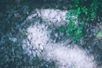 307X9917.jpg