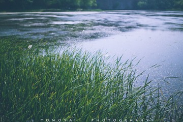 307X9929.jpg