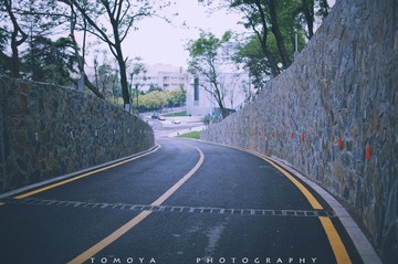 307X9950.jpg