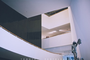 307X9952.jpg