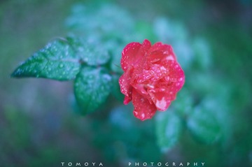 “307X0017”为智能对象-1.jpg