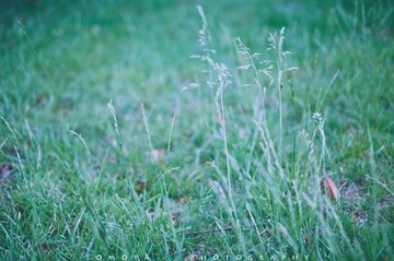 307X0014.jpg